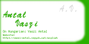 antal vaszi business card